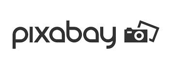 google fonts