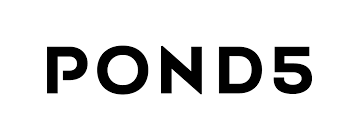 google fonts